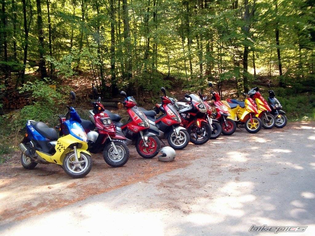 2004 GILERA RUNNER 50 | Picture 542723 motorcycle photo
