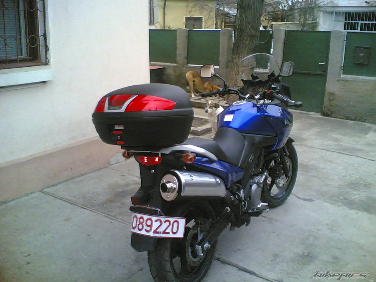 2005 SUZUKI DL 650 | Picture 542842 motorcycle photo