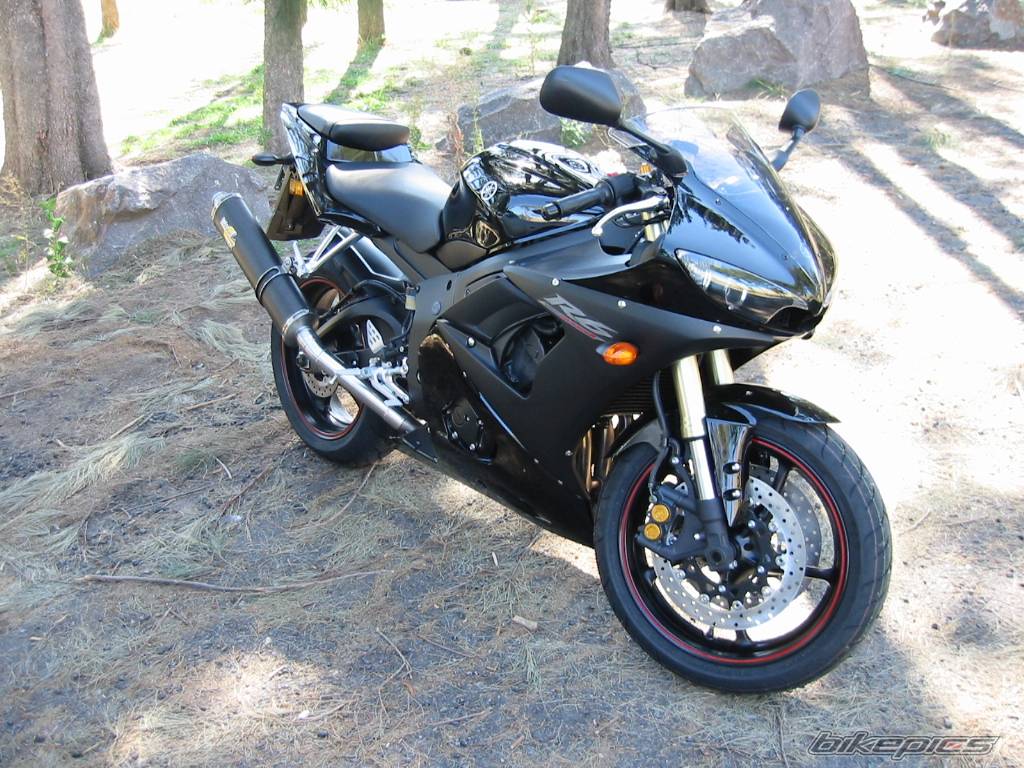 2005 YAMAHA YZF R6 | Picture 543905 motorcycle photo