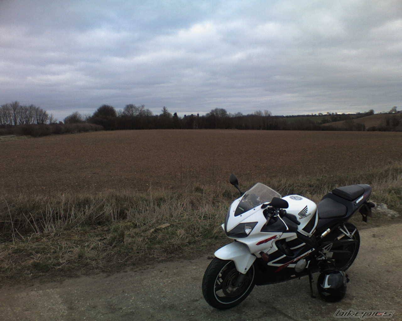 2002 HONDA CBR 600 | Picture 544232 motorcycle photo