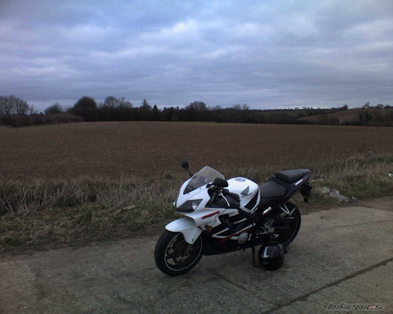 2002 HONDA CBR 600 | Picture 544234 motorcycle photo