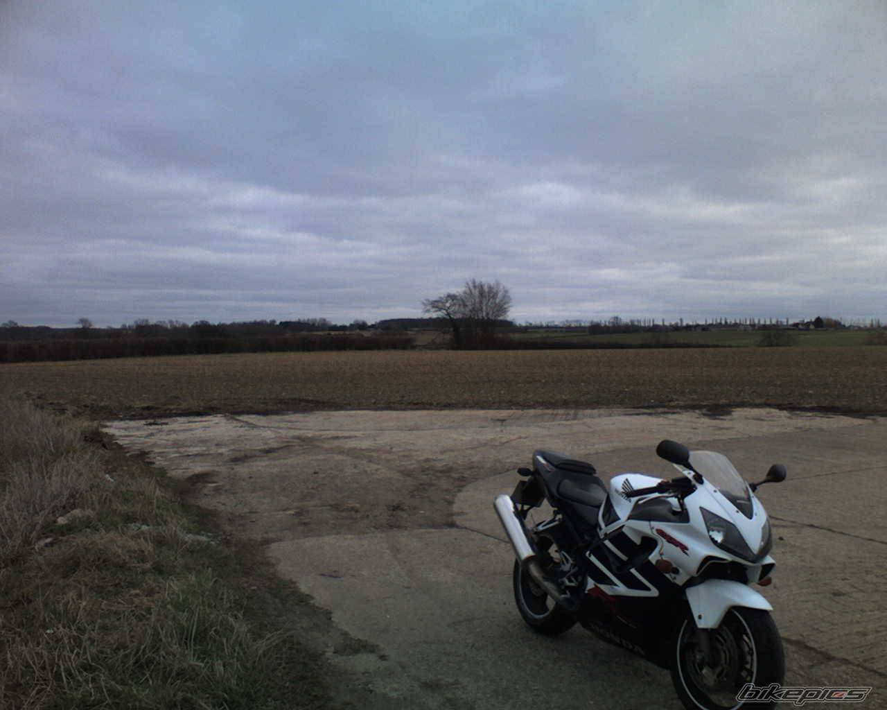 2002 HONDA CBR 600 | Picture 544238 motorcycle photo