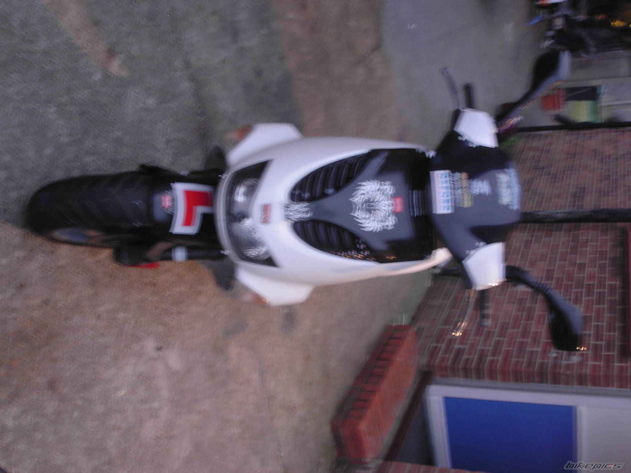 1998 APRILIA SR RACING 50 | Picture 544480 motorcycle photo