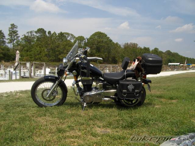 2006 SUZUKI SAVAGE | Picture 544622 motorcycle photo
