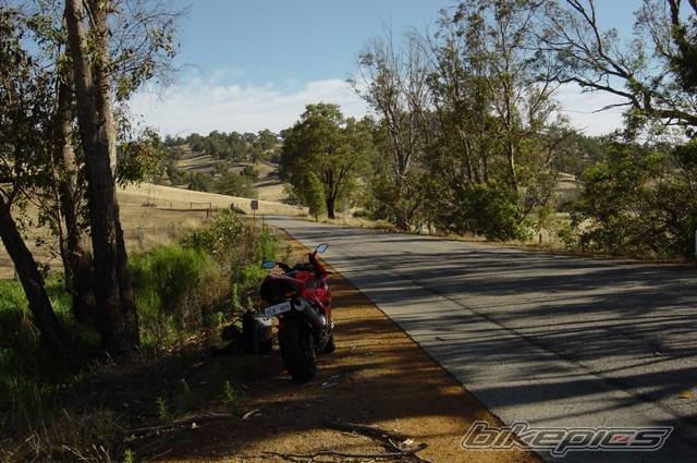 2004 BENELLI TORNADO 900 RS | Picture 545469 motorcycle photo