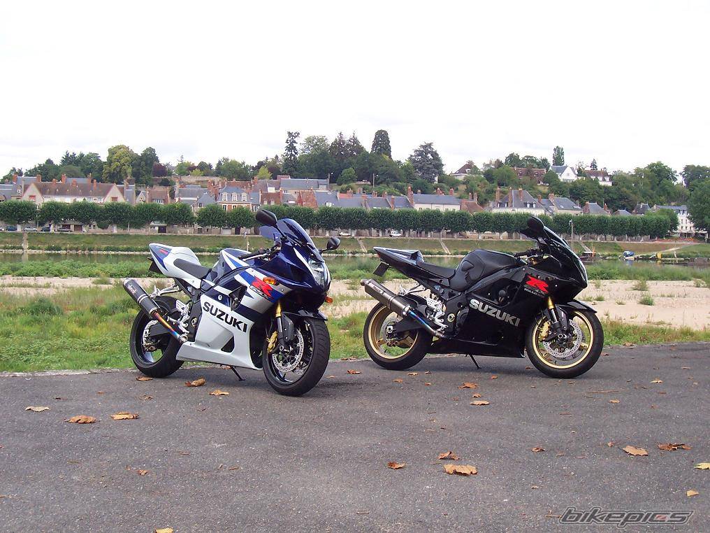 2004 SUZUKI GSX R 1000 | Picture 546018 motorcycle photo