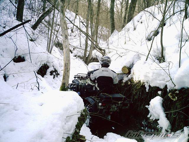 2006 YAMAHA GRIZZLY | Picture 546640 motorcycle photo
