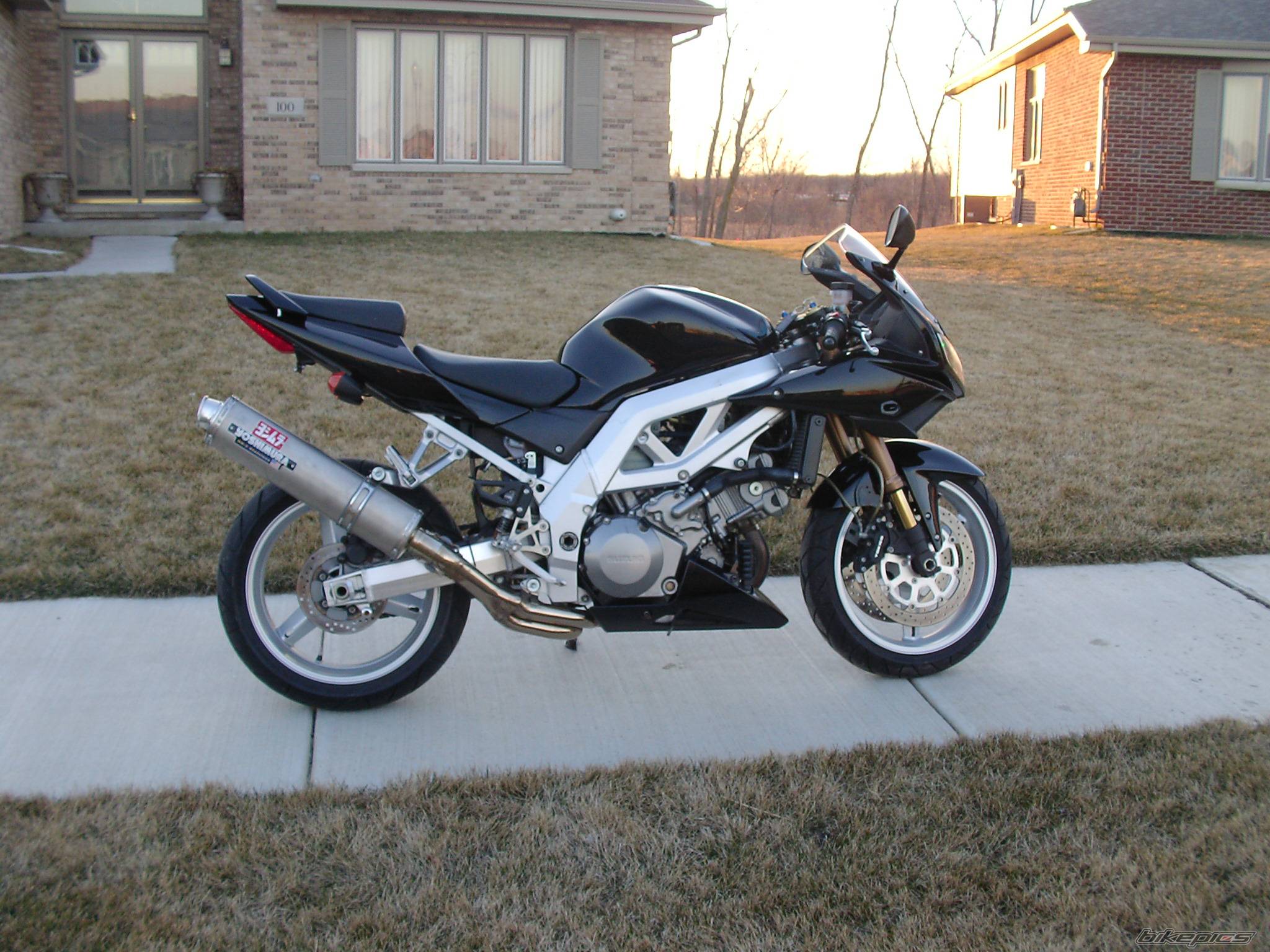 2003 SUZUKI SV 1000 S | Picture 546963 motorcycle photo