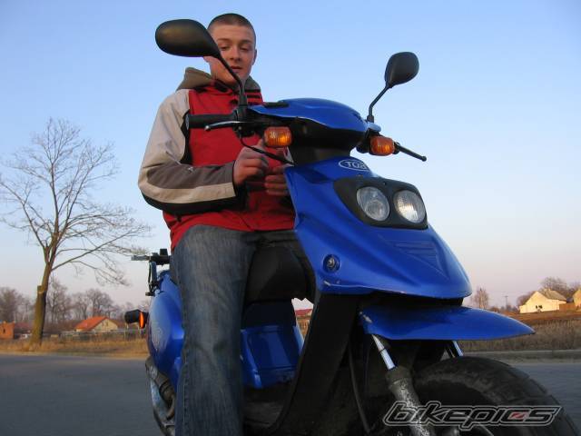 2003 TGB ORION 101 S | Picture 547441 motorcycle photo