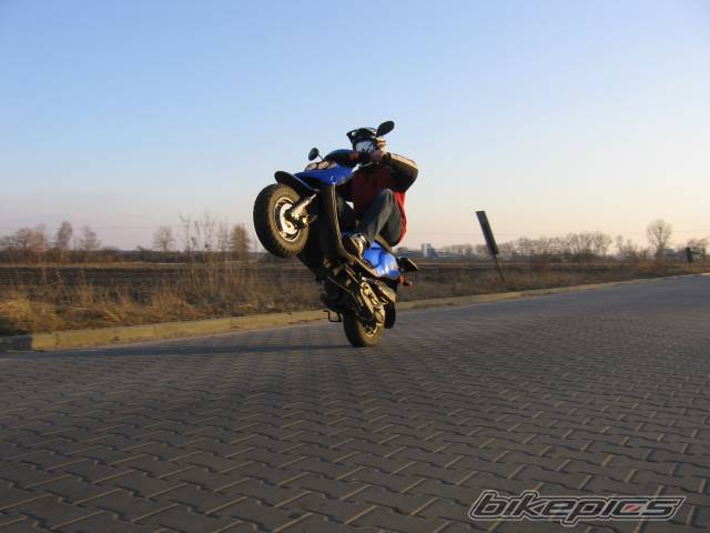 2003 TGB ORION 101 S | Picture 547442 motorcycle photo