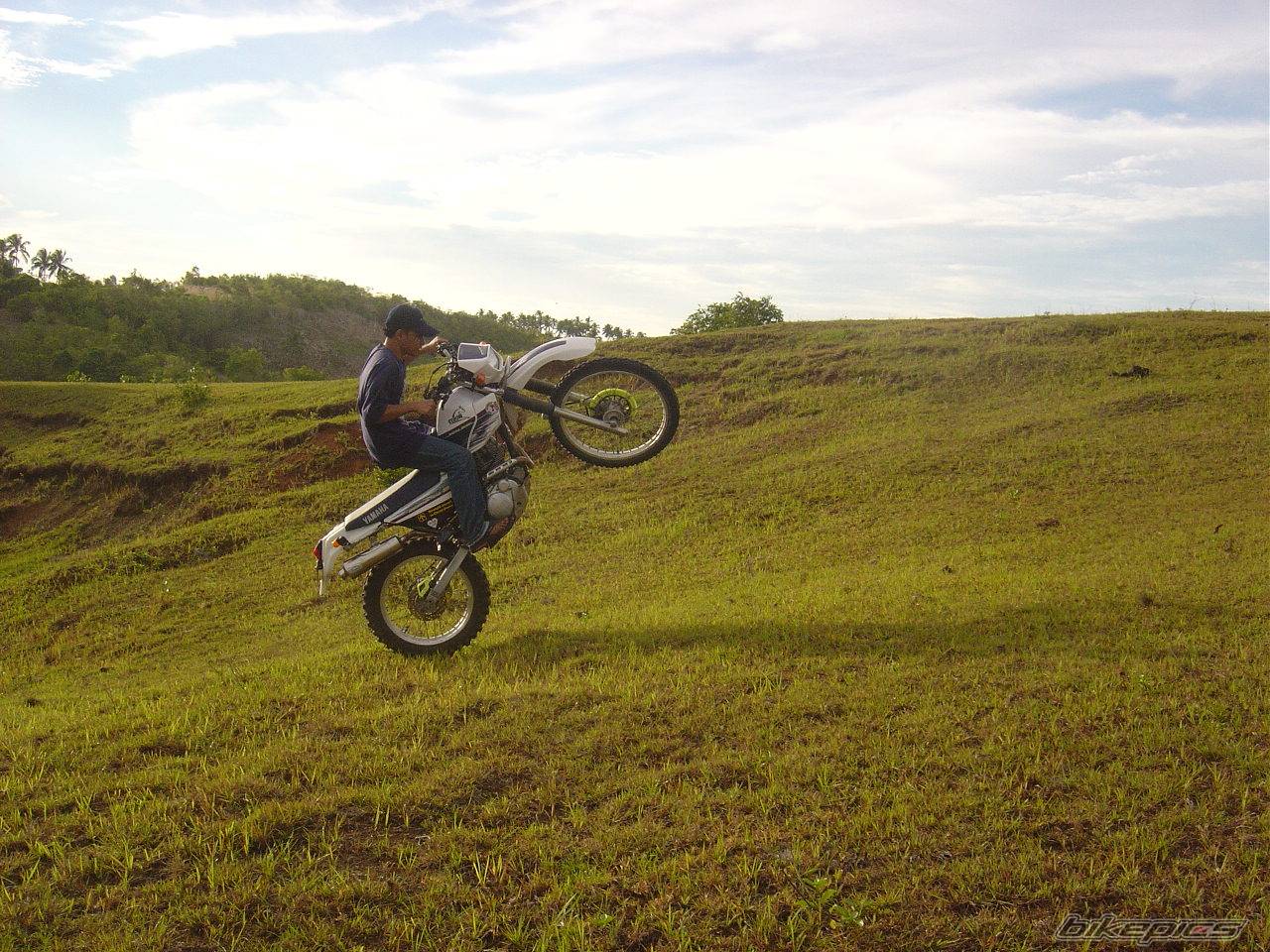 2005 YAMAHA XT 225 | Picture 547642 motorcycle photo