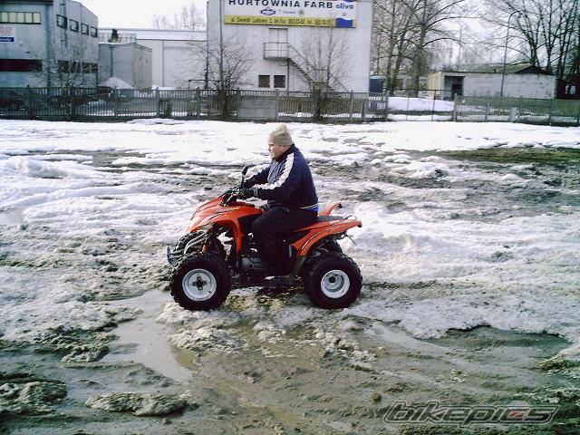 2006 YAMAHA GRIZZLY | Picture 547788 motorcycle photo