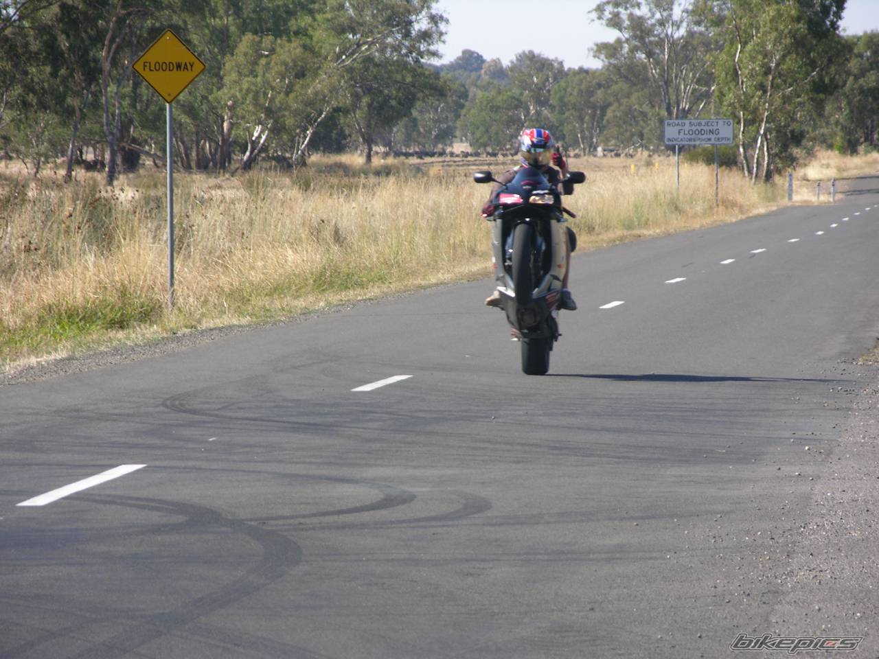 2005 HONDA CBR 600 | Picture 548114 motorcycle photo