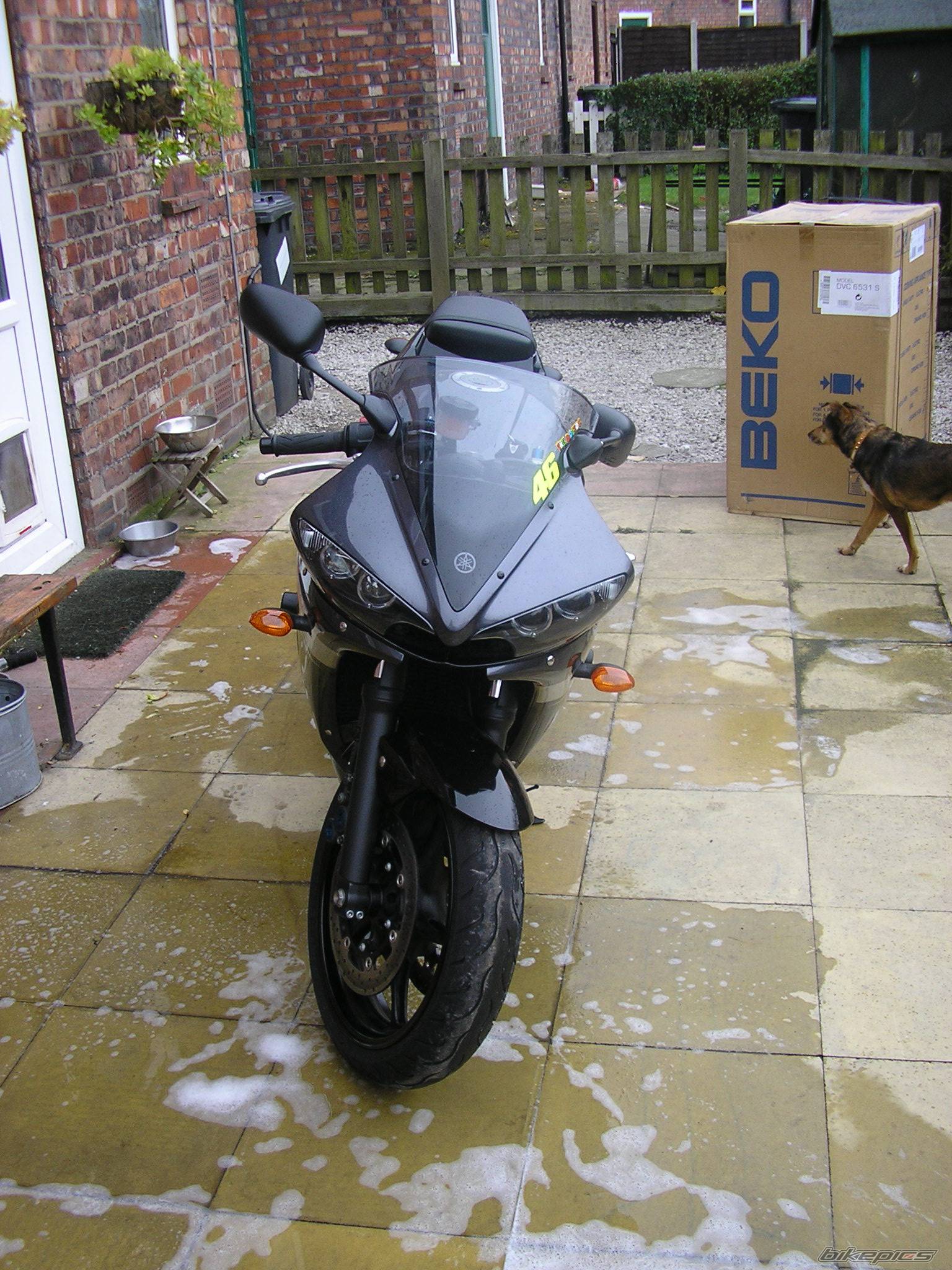 2004 YAMAHA YZF R6 | Picture 548326 motorcycle photo