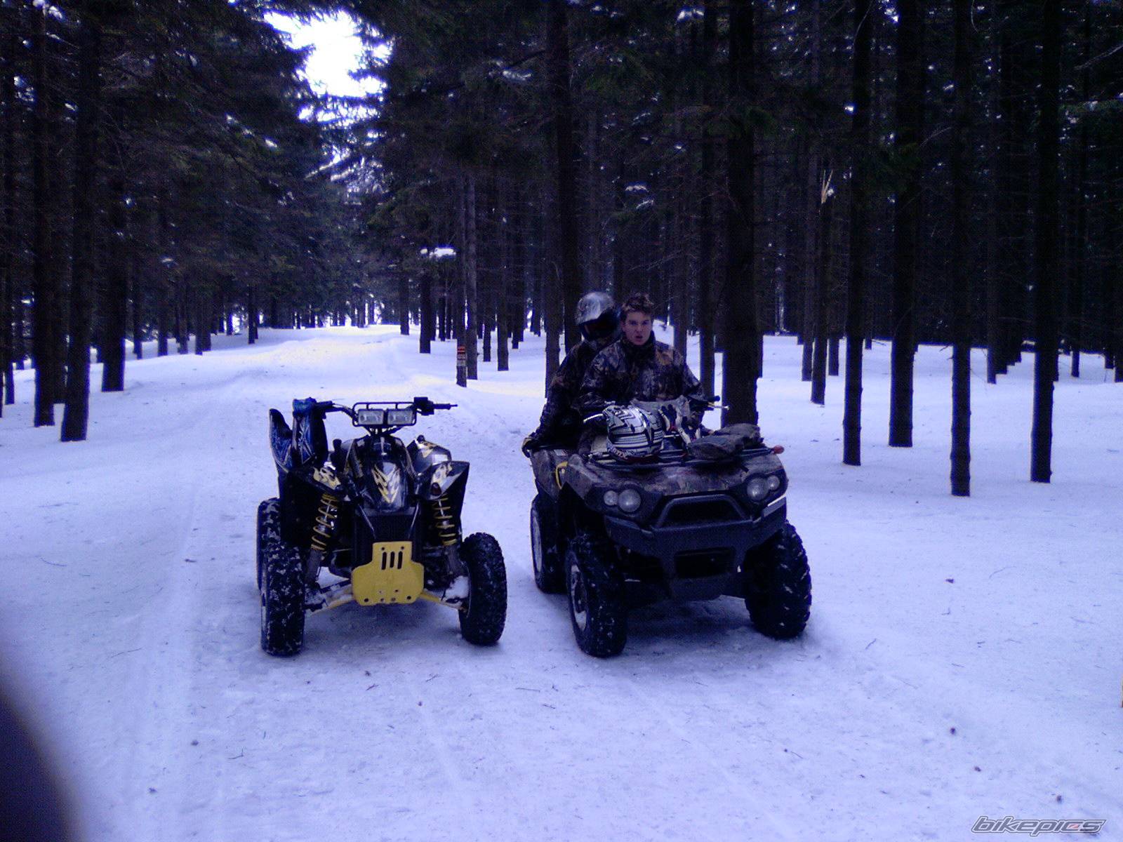 2005 POLARIS SCRAMBLER 500 | Picture 549056 motorcycle photo