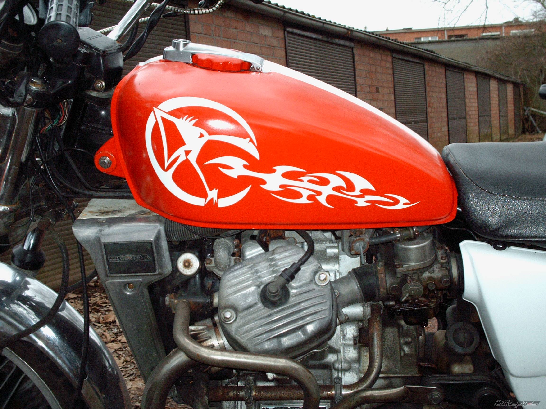 1981 HONDA CX500 | Picture 549315 motorcycle photo