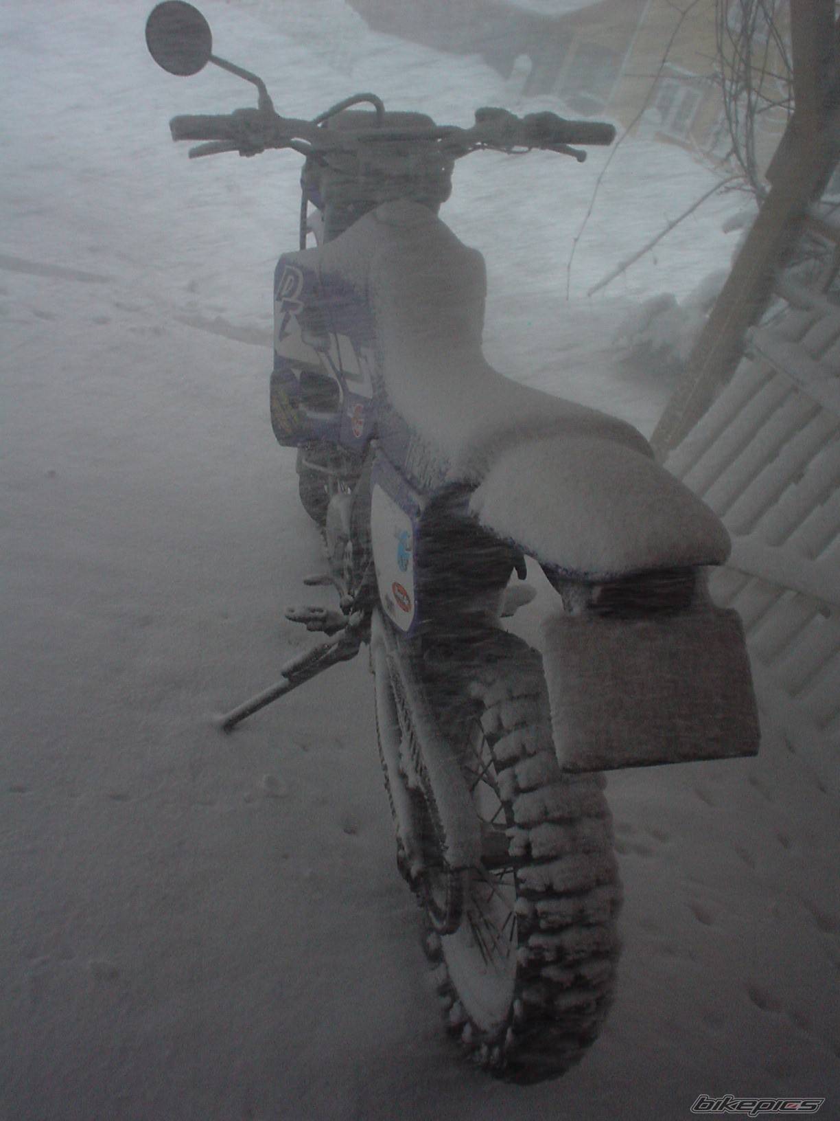 2002 YAMAHA DT 125 | Picture 549684 motorcycle photo