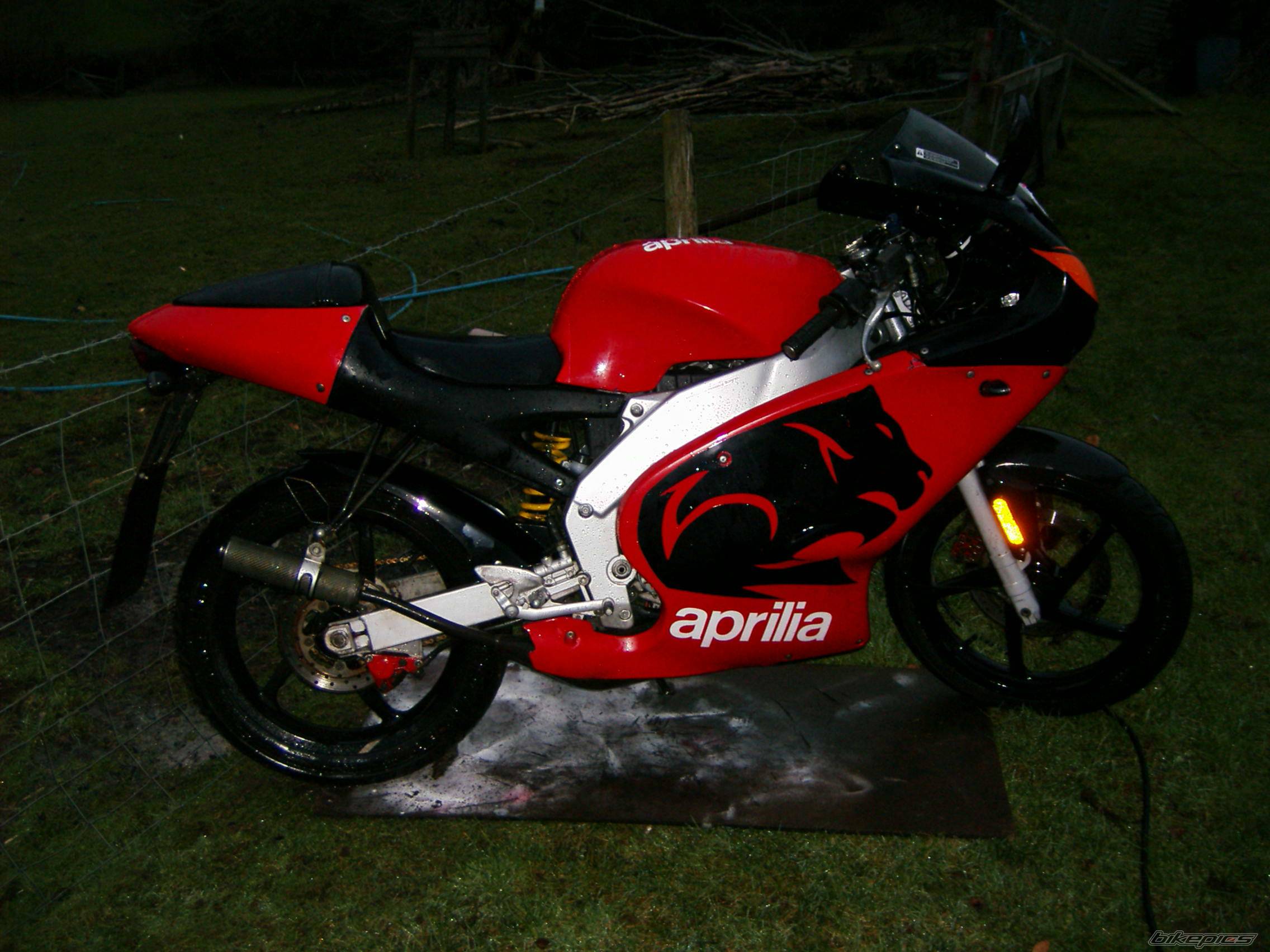 2000 APRILIA RS 50 | Picture 549687 motorcycle photo