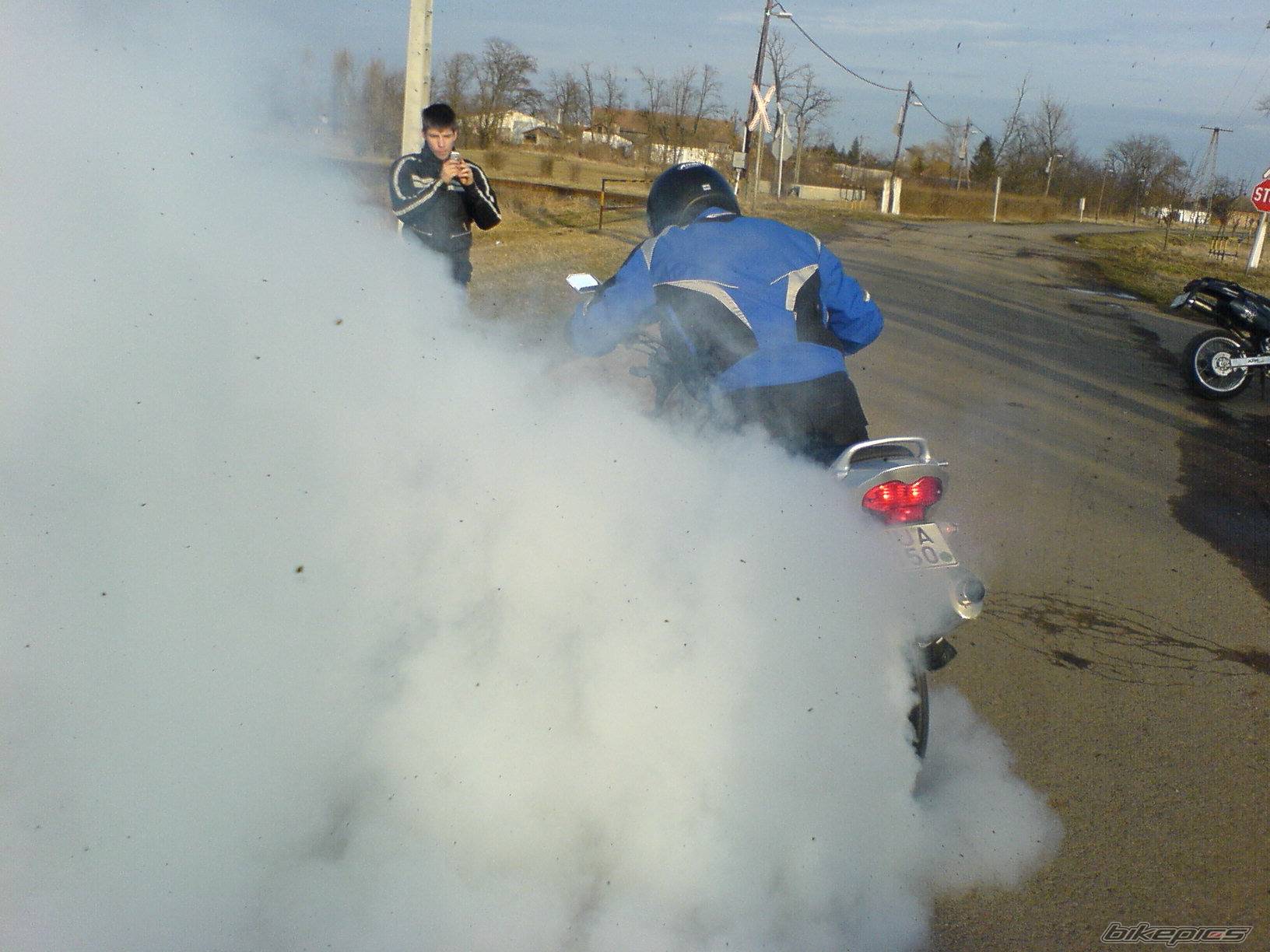 2004 SUZUKI BANDIT 600 | Picture 550498 motorcycle photo