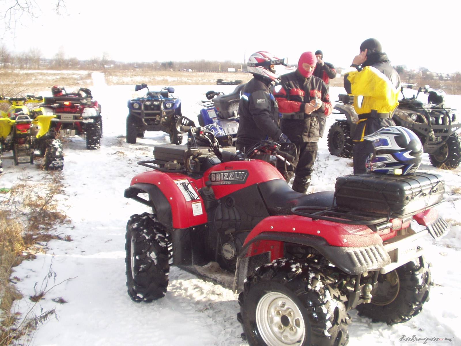 2003 YAMAHA GRIZZLY | Picture 550619 motorcycle photo