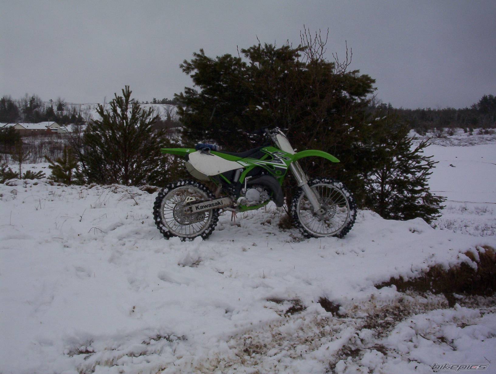 2002 KAWASAKI KX 125 | Picture 550715 motorcycle photo