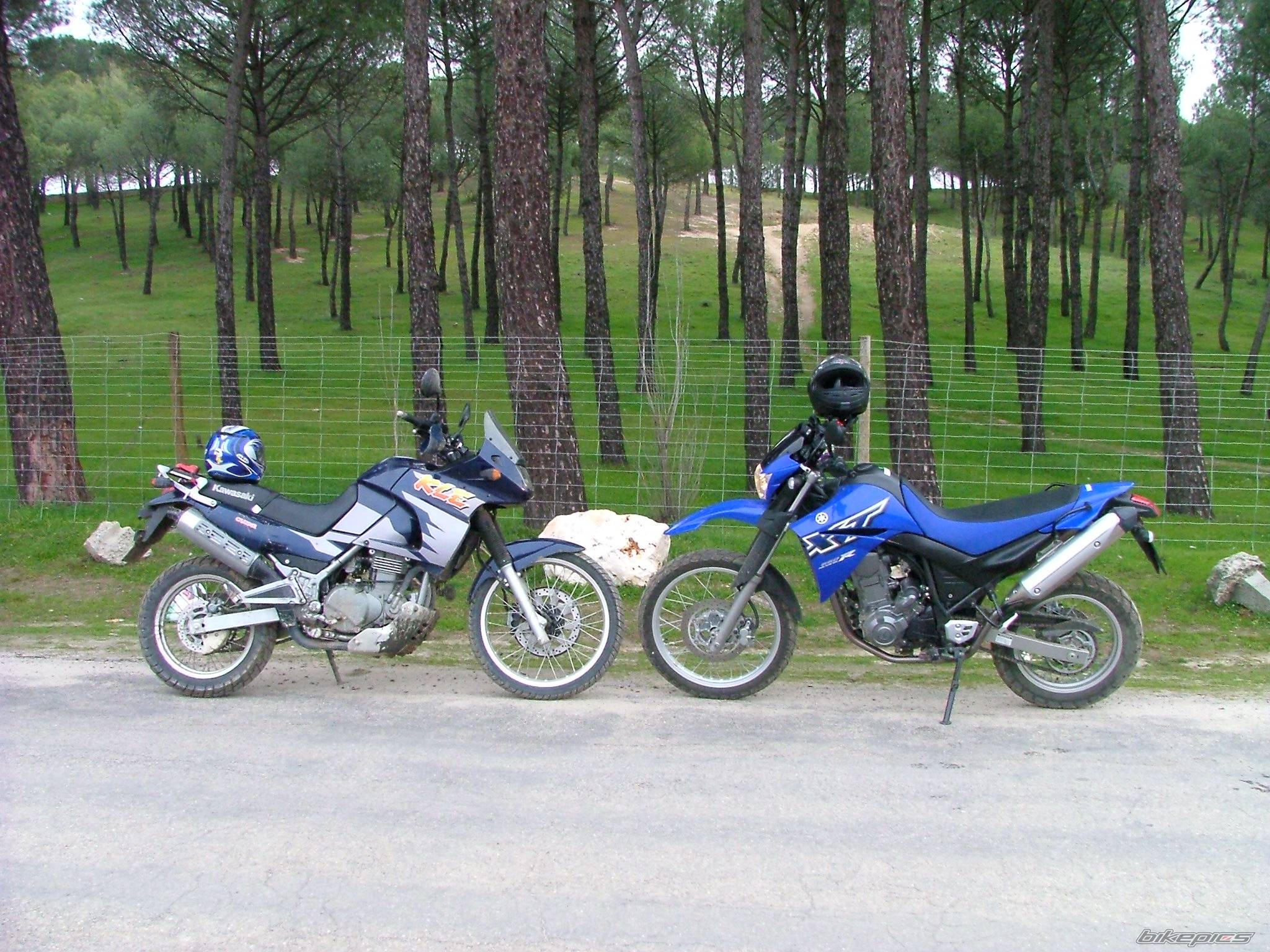 1998 KAWASAKI KLE 500 | Picture 550963 motorcycle photo