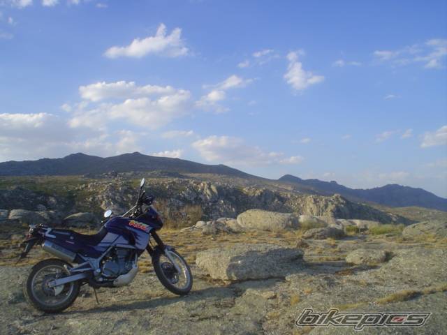 1998 KAWASAKI KLE 500 | Picture 550967 motorcycle photo