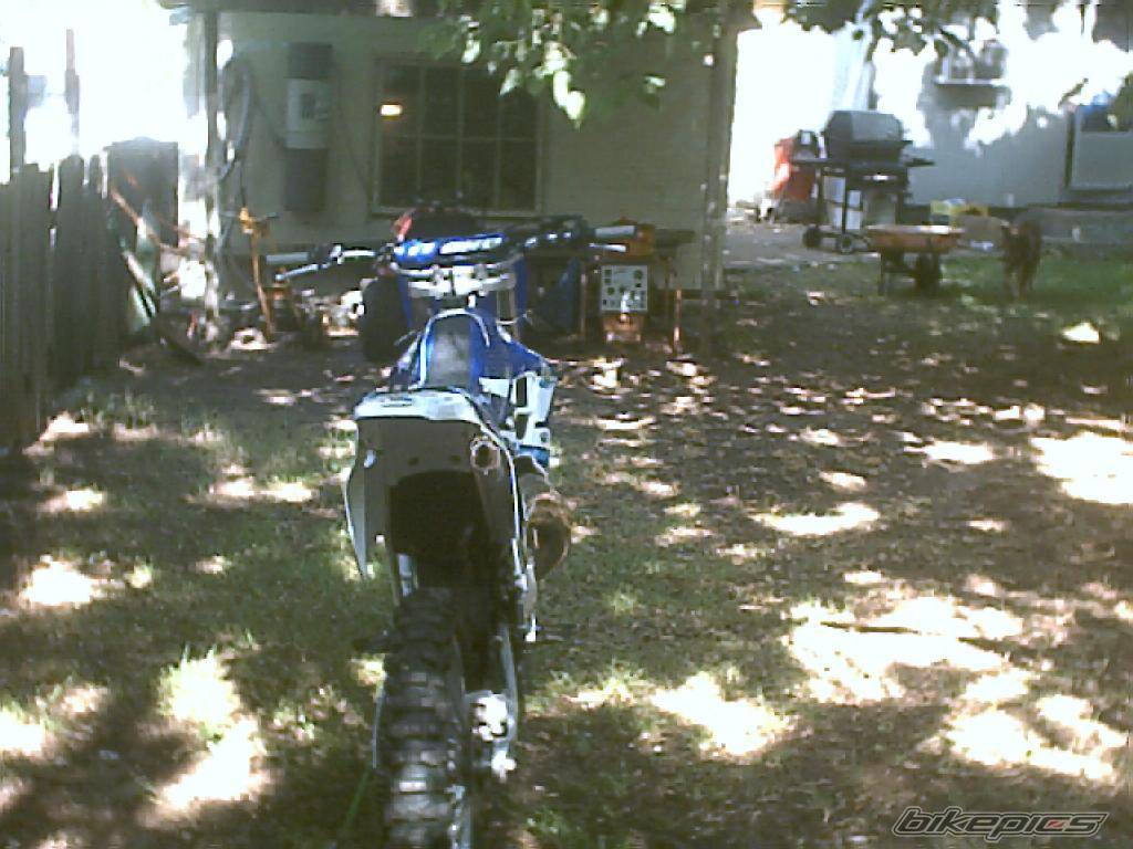 1993 YAMAHA YZ 125 | Picture 55156 motorcycle photo