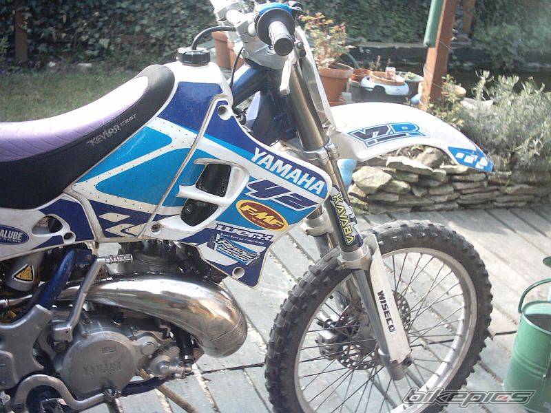 1995 YAMAHA YZ 250 | Picture 55195 motorcycle photo