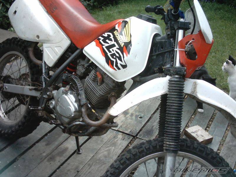 1996 HONDA XLR125 | Picture 55199 motorcycle photo