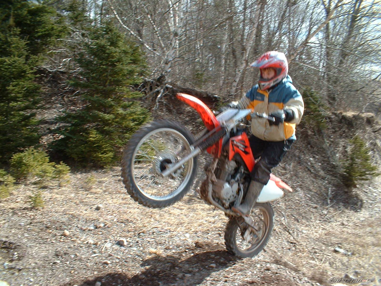 2006 HONDA CRF 230 | Picture 552116 motorcycle photo
