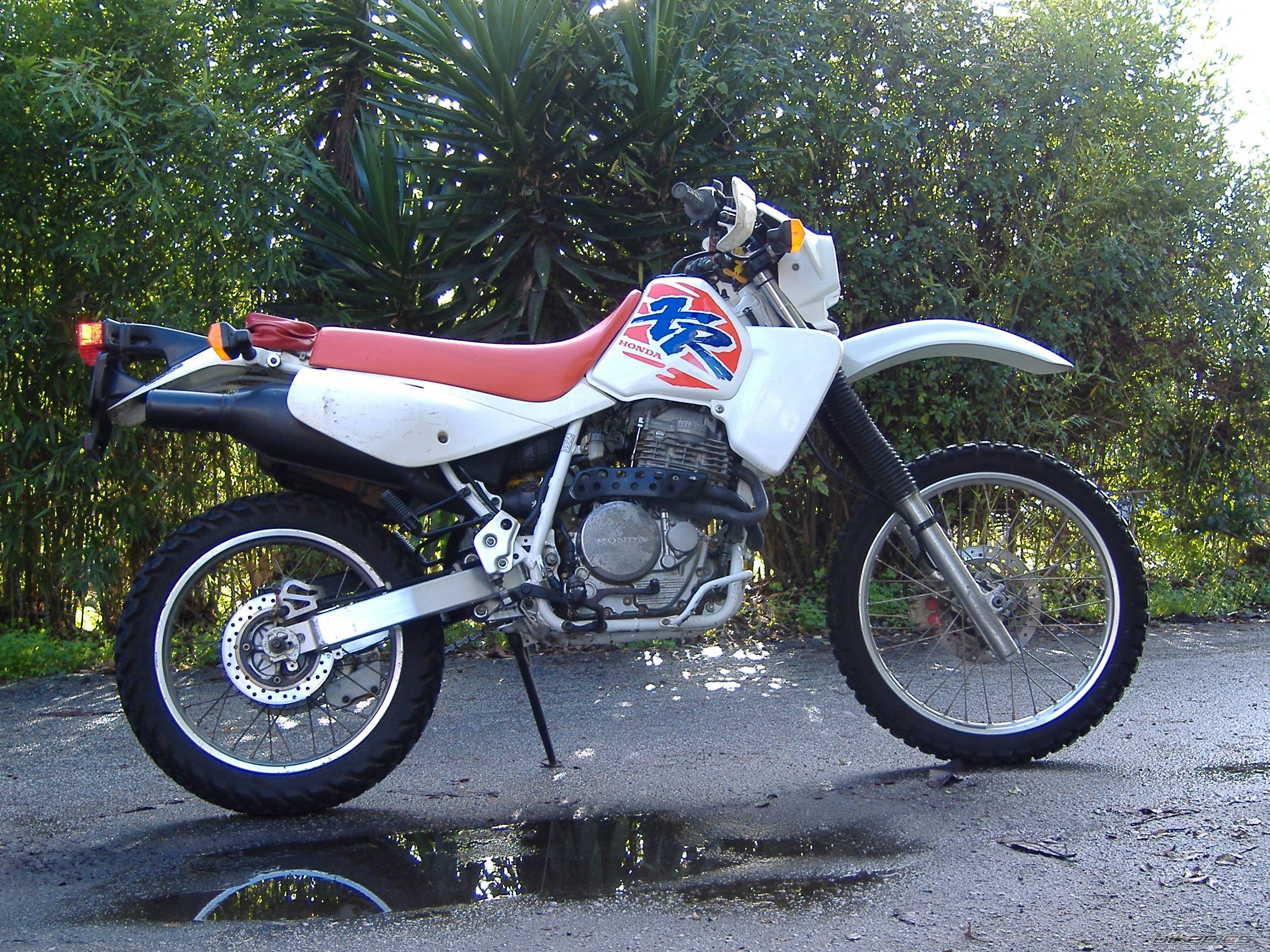 1996 HONDA XR 650 | Picture 552247 motorcycle photo