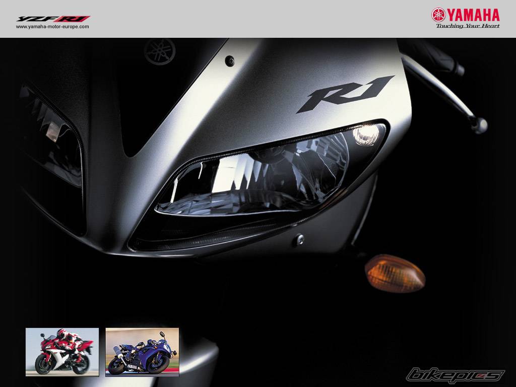 2003 YAMAHA YZF R1 | Picture 55278 motorcycle photo