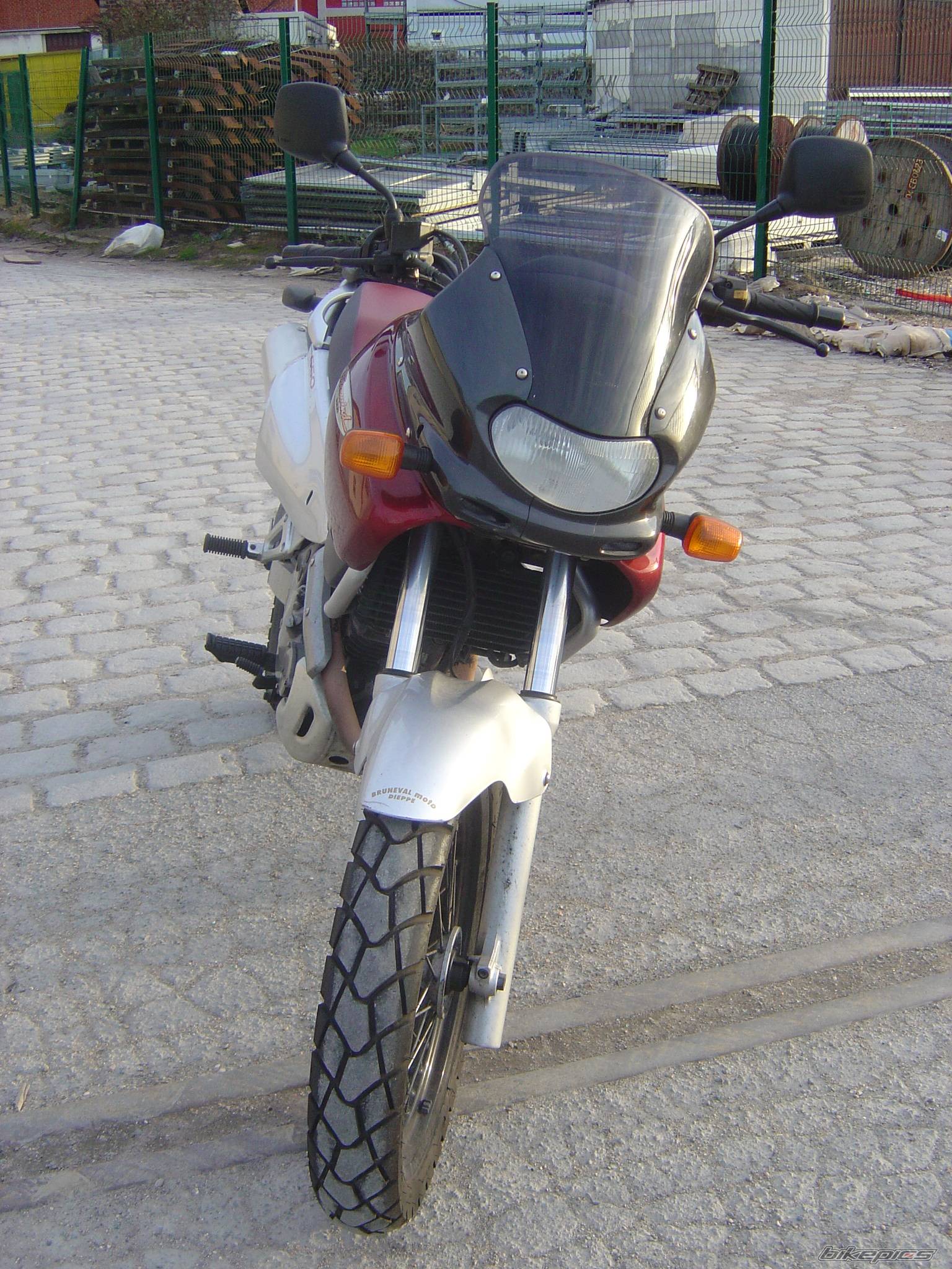 1998 SUZUKI XF 650 | Picture 553215 motorcycle photo