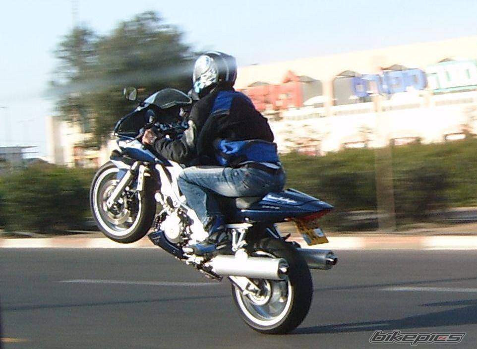 2006 SUZUKI SV 1000 S | Picture 553332 motorcycle photo