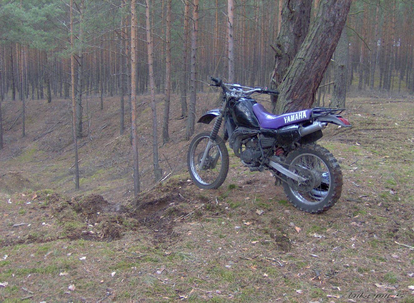 1993 YAMAHA DT 80 | Picture 553503 motorcycle photo