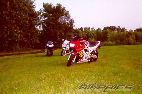 1996 HONDA CBR 600 | Picture 5536 motorcycle photo