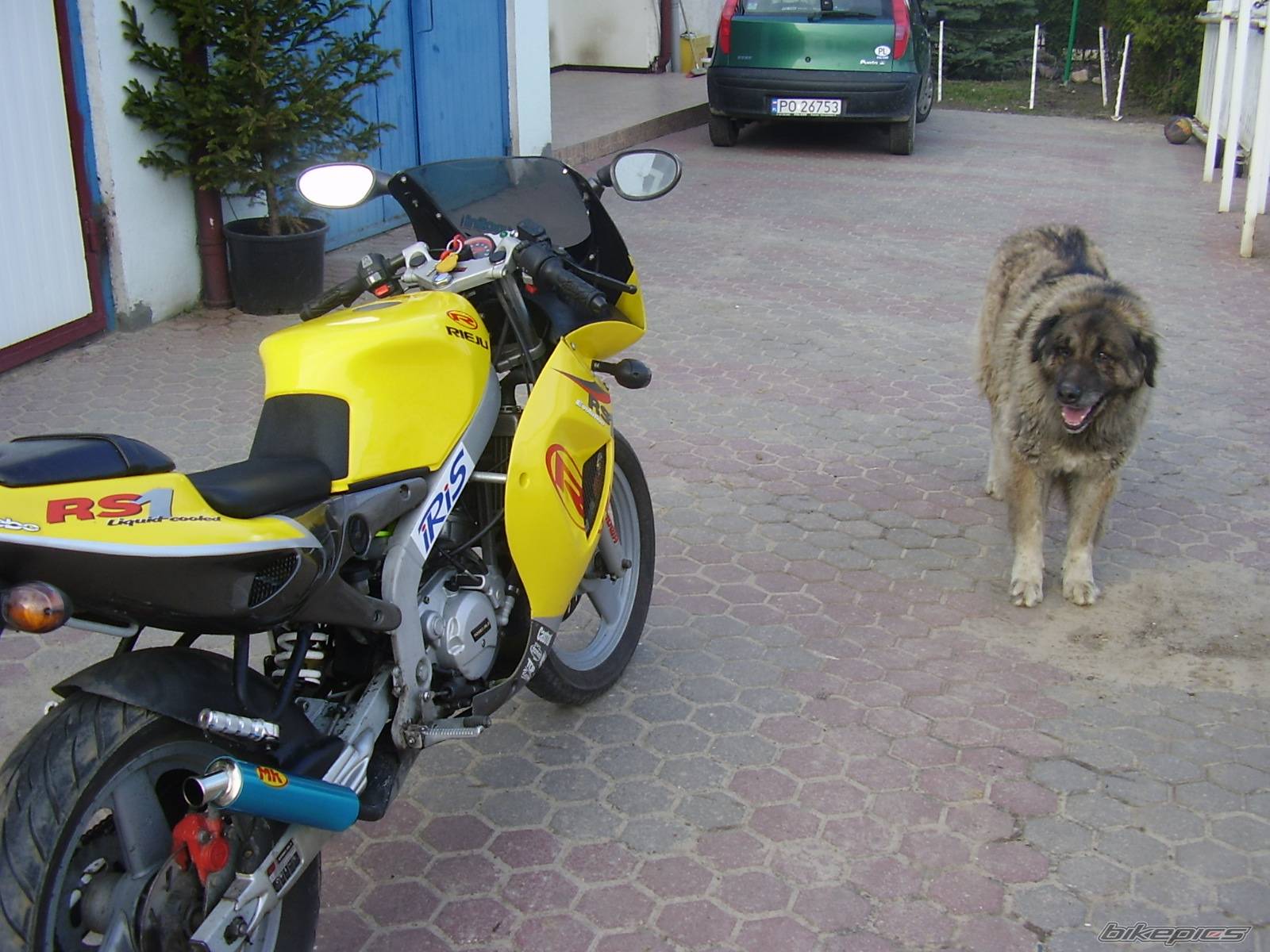 2002 RIEJU RS1 | Picture 553643 motorcycle photo
