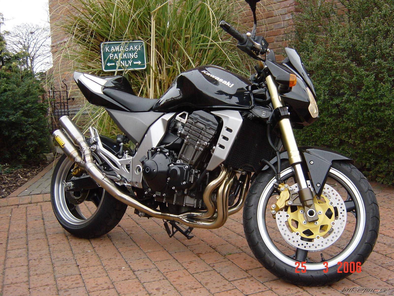 2004 KAWASAKI Z 1000 | Picture 553699 motorcycle photo