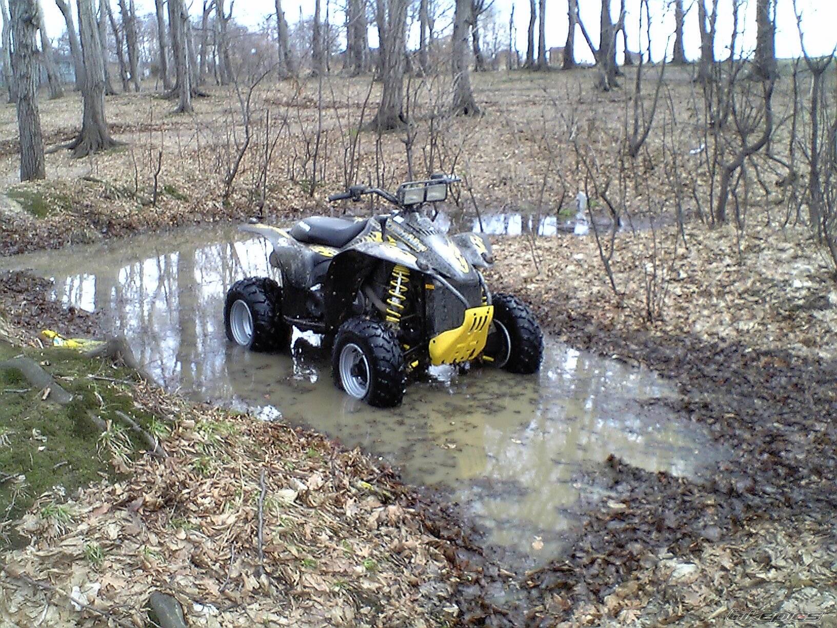 2005 POLARIS SCRAMBLER 500 | Picture 553880 motorcycle photo