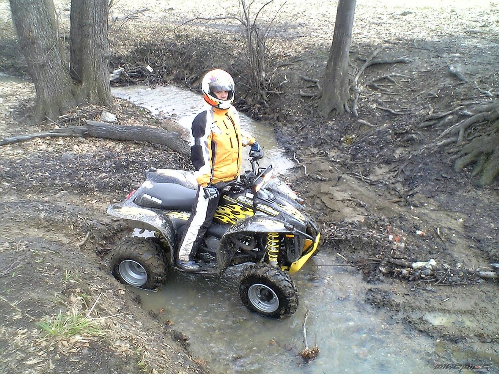 2005 POLARIS SCRAMBLER 500 | Picture 553887 motorcycle photo