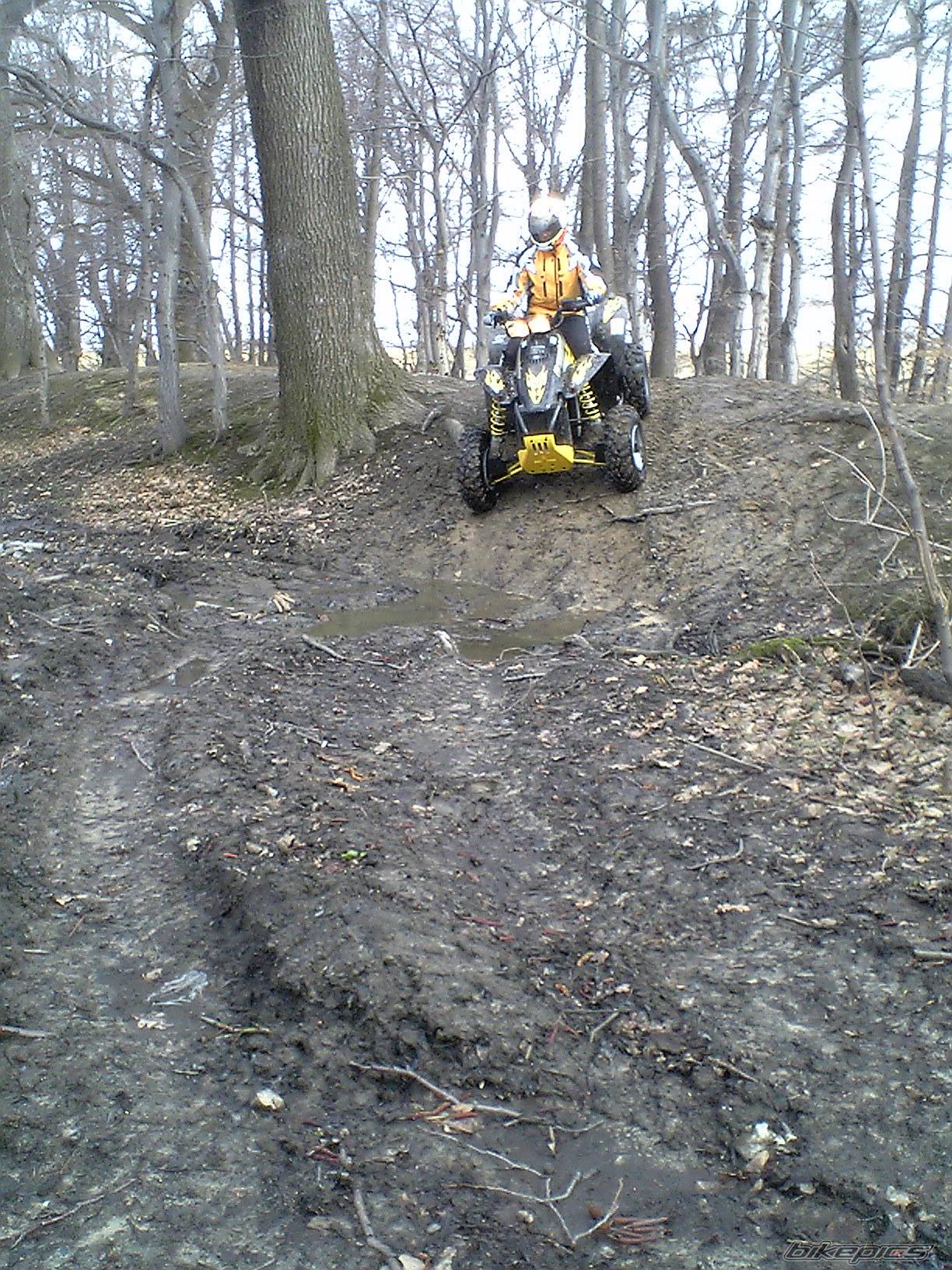 2005 POLARIS SCRAMBLER 500 | Picture 553894 motorcycle photo