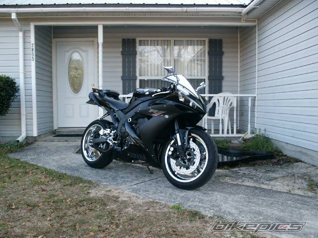 2005 YAMAHA YZF R1 | Picture 553960 motorcycle photo