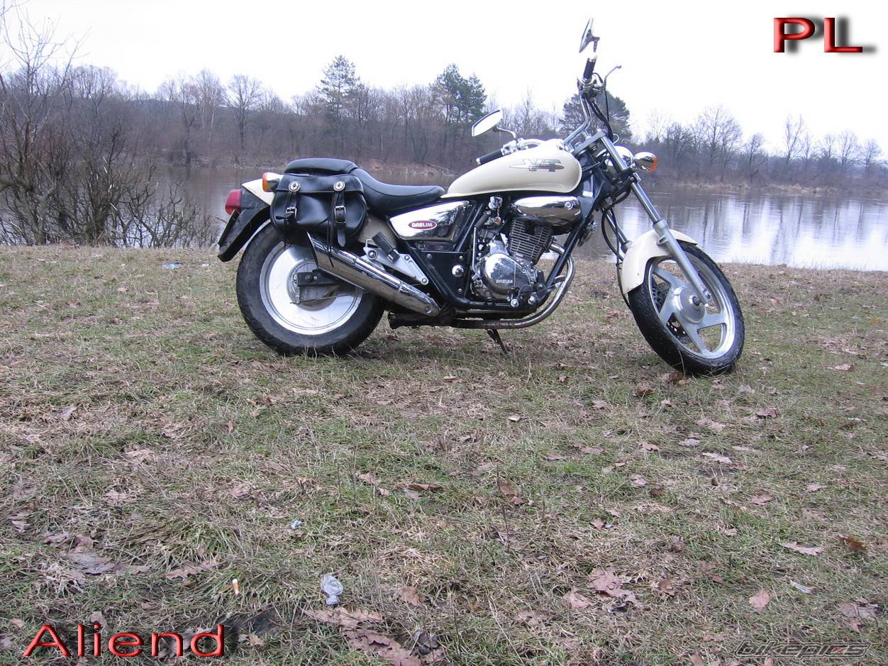 1999 DAELIM VT EVOLUTION | Picture 554143 motorcycle photo