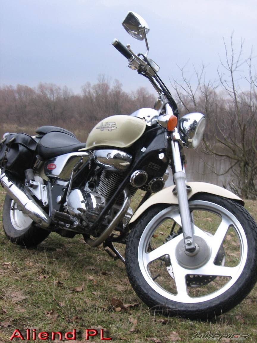 1999 DAELIM VT EVOLUTION | Picture 554145 motorcycle photo