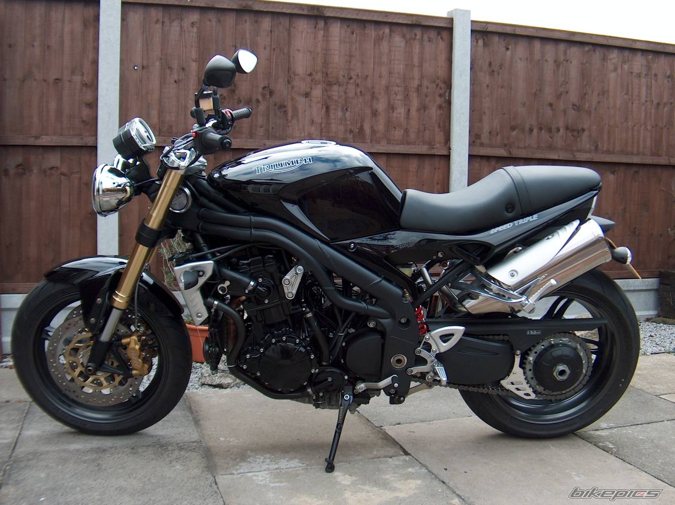 2006 TRIUMPH SPEED TRIPLE | Picture 555432 motorcycle photo