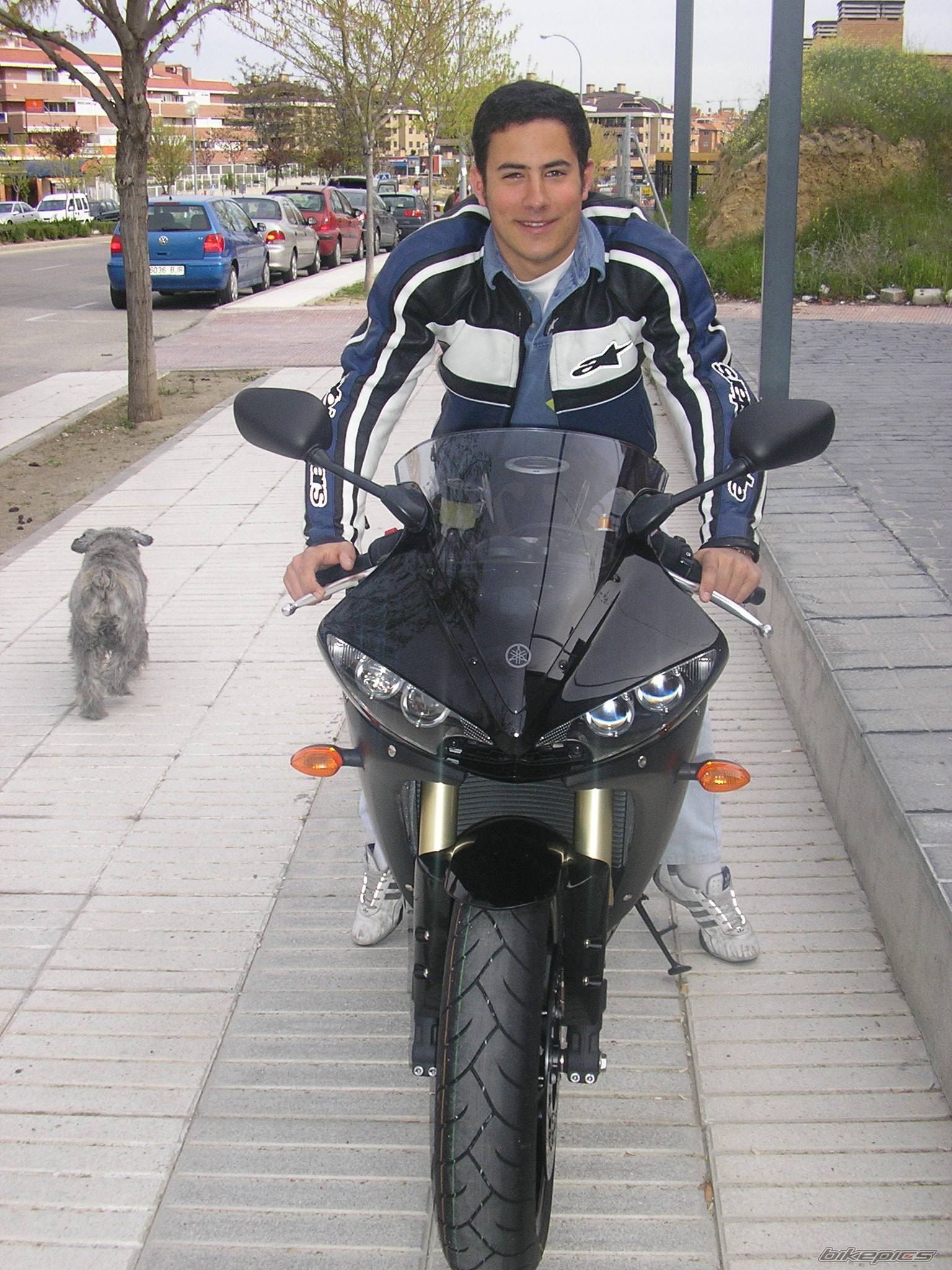 2005 YAMAHA YZF R6 | Picture 556382 motorcycle photo