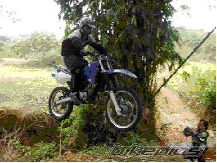 1999 KAWASAKI KMX 125 | Picture 556447 motorcycle photo
