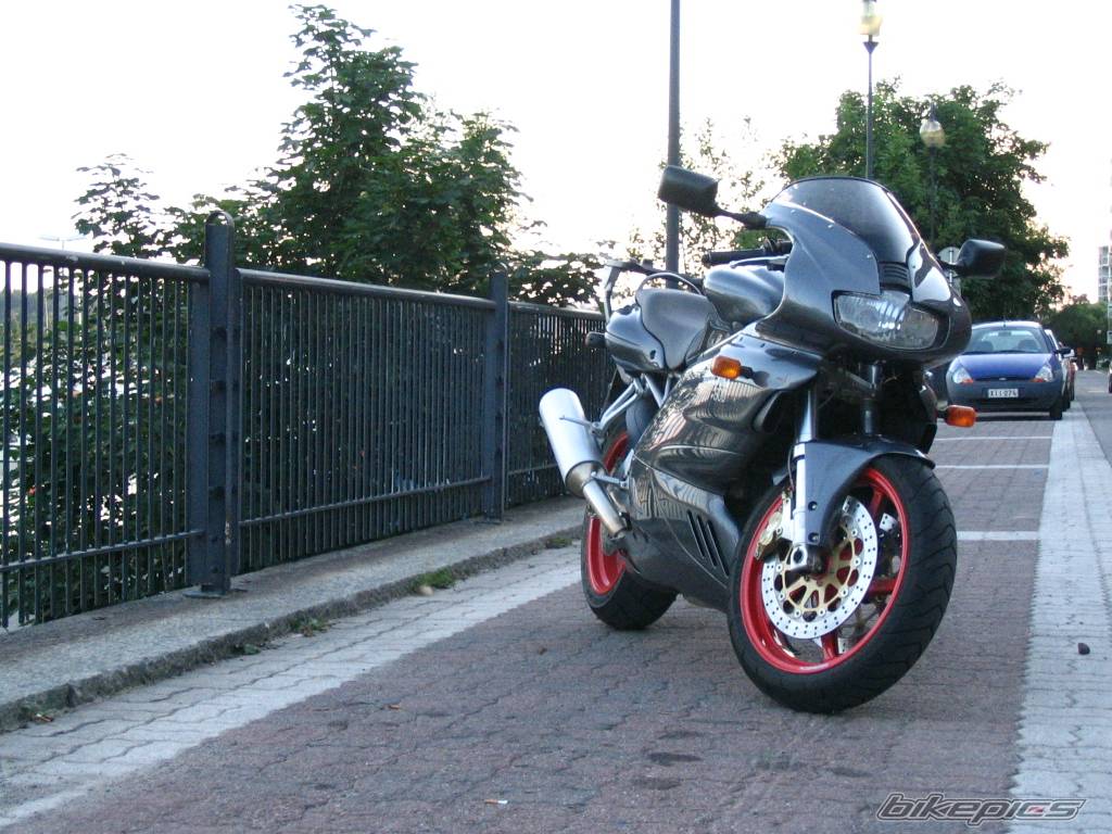 2004 DUCATI SS 800 | Picture 556501 motorcycle photo