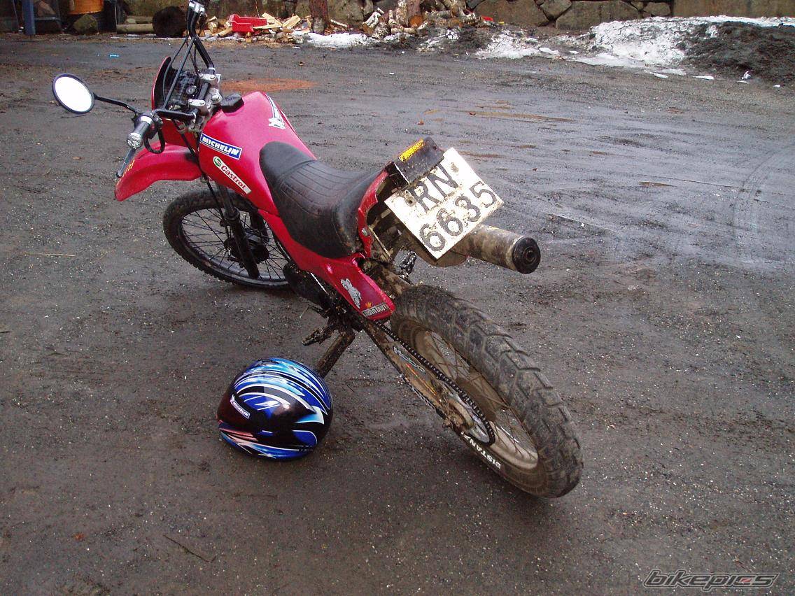 1996 SUZUKI TS 50 | Picture 556568 motorcycle photo